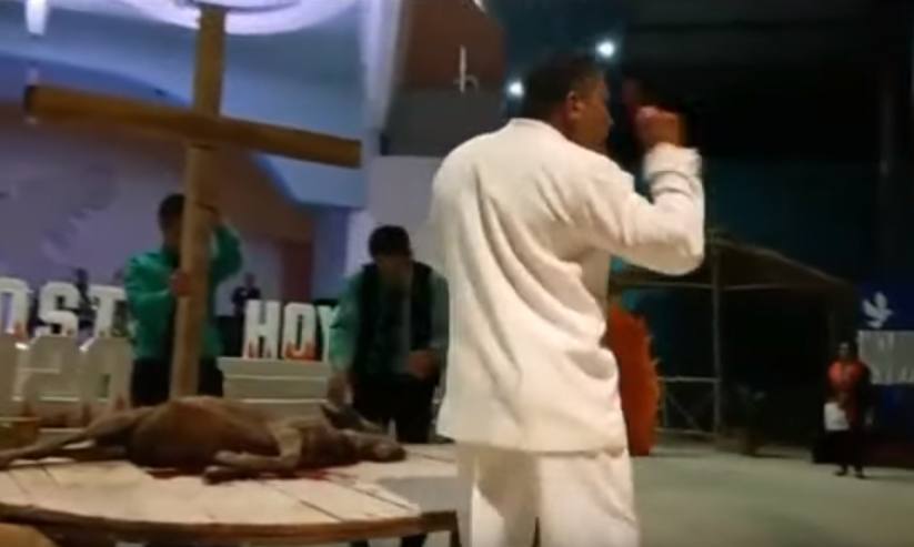 Pastor sacrifica a chivo 1 | 