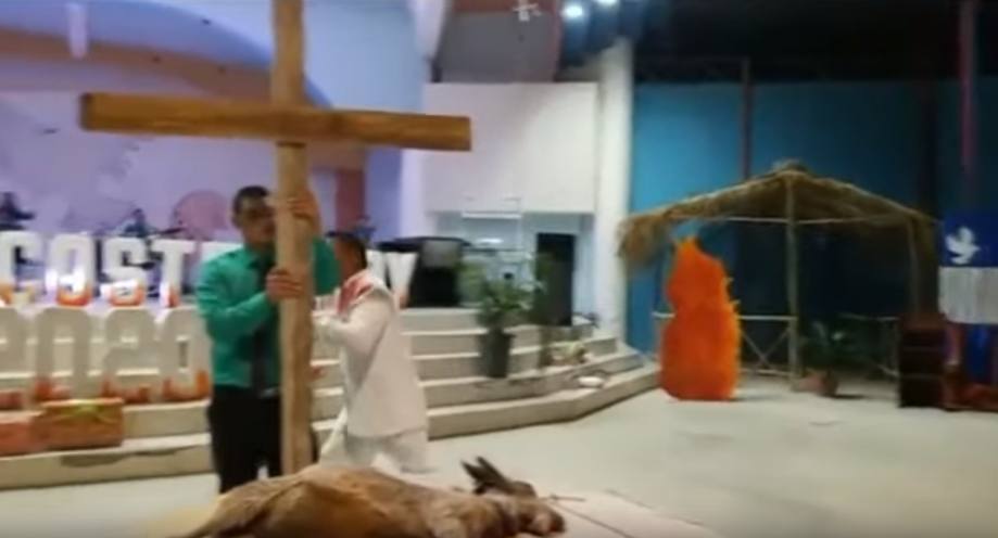 Pastor sacrifica a chivo 4 | 