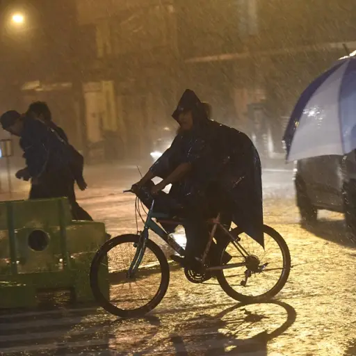 Foto: Omar Solís/ Publinews. 