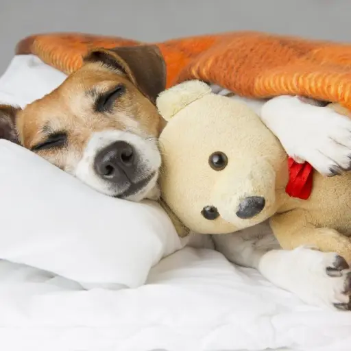 img_perros-dormir-suenos ,