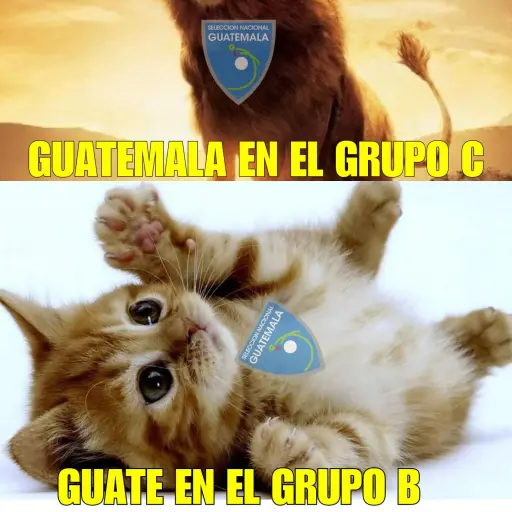 memes de guatemala ante Bermudas ,