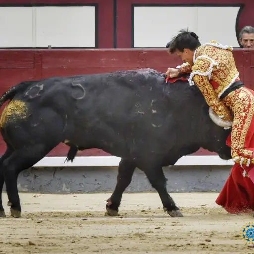 Hasta el momento el cuadro de salud de pronóstico reservado.
