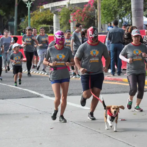 Carrera-Fundaquem-2019 ,
