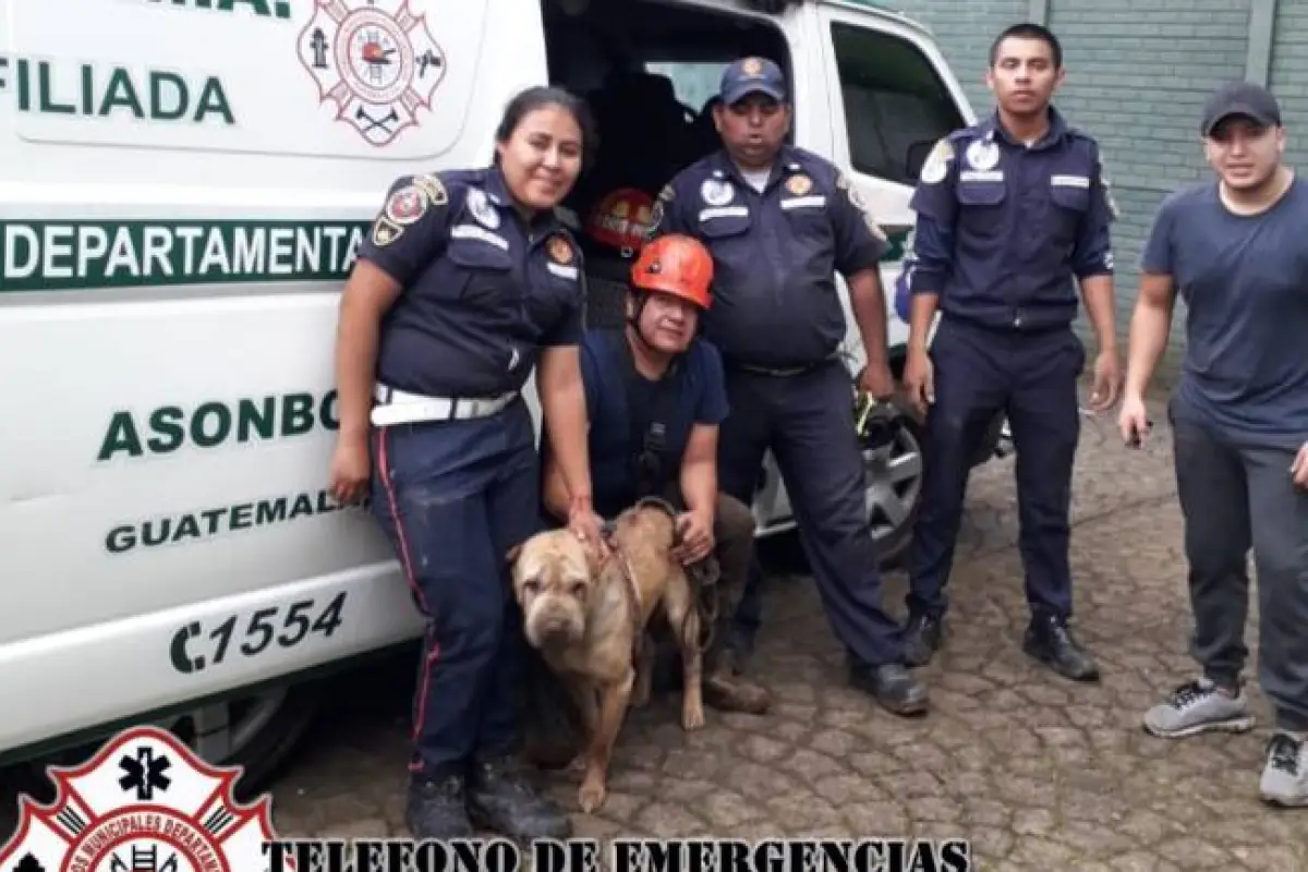 Bomberos rescata a perro atrapado en un pozo de Sacatepéquez