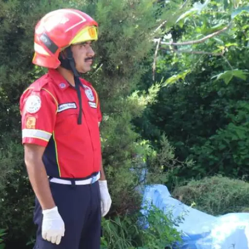 Los Bomberos Municipales atendieron este caso.