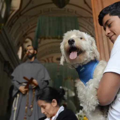 Mascotas perros animales reciben bendición templo san francisco fiestas franciscanas (5) ,