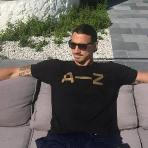 Ibrahimovic-Ferrari ,