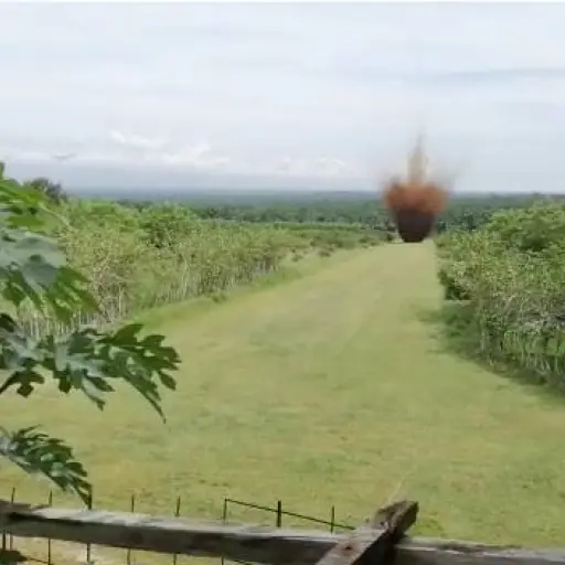 Pistas inhabilitadas durante el estado de sitio