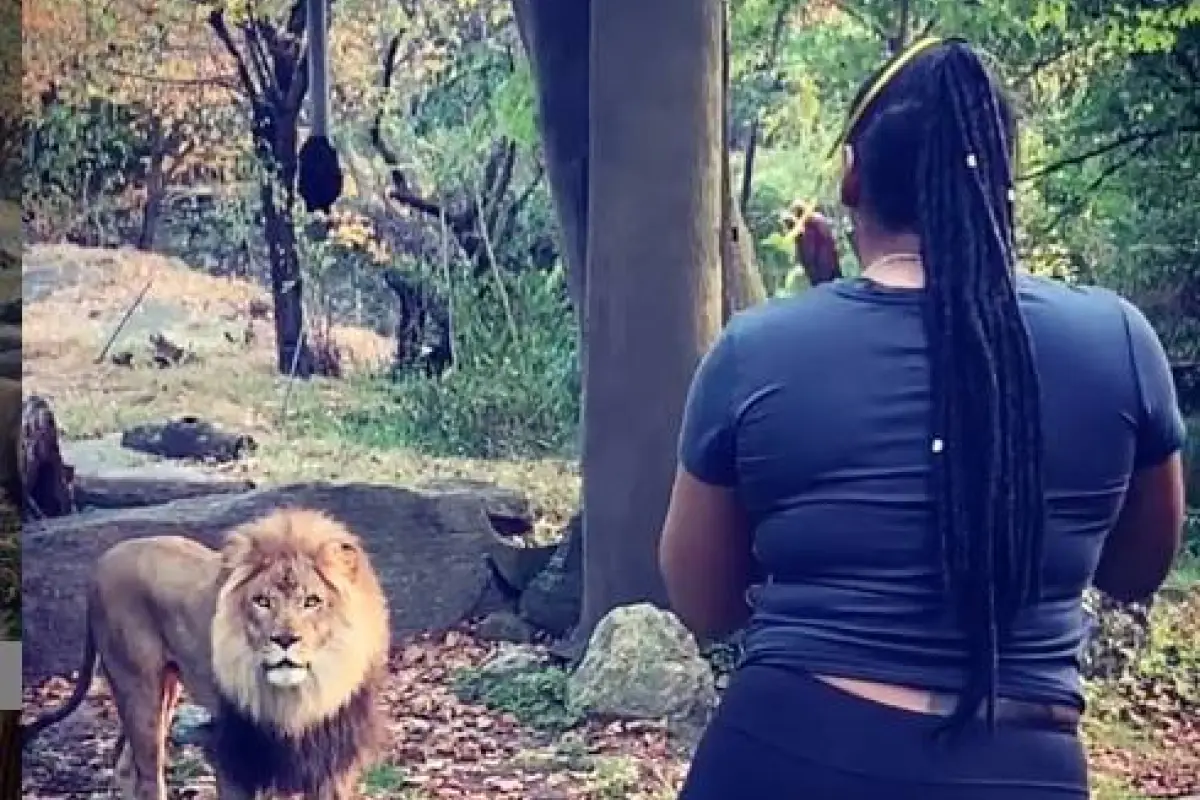 Mujer entra a recinto de leones de zoológico para publicarlo en Instagram