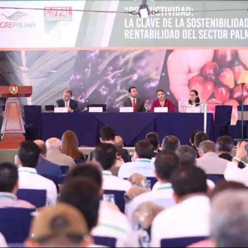 Palmicultores piden siga estado de sitio. Foto: AGN