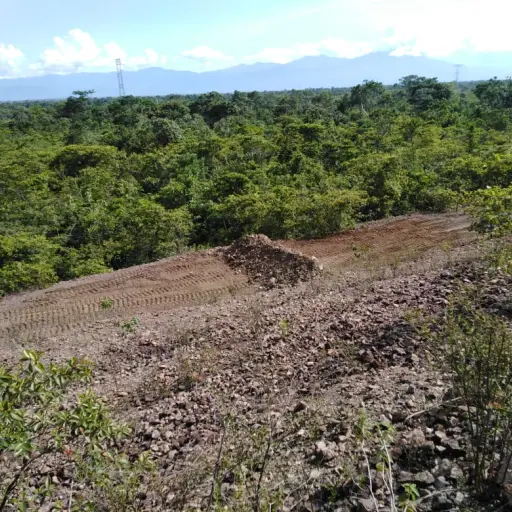 Inhabilitan pista clandestina en El Estor