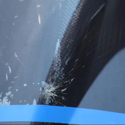 Foto: Óscar Coronado