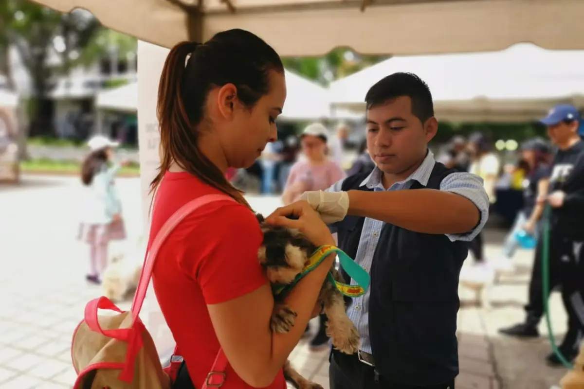 El Ministerio de Salud inaugura campaña de vacunación contra la rabia. Foto: Ministerio de Salud.