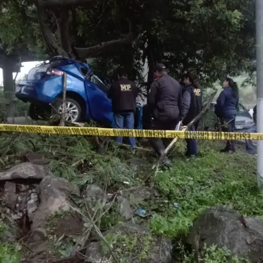 Vehículo se empotra en un árbol en la entrada a la VAS y muere una persona