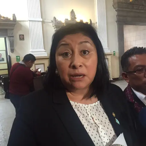 Los funcionarios municipales ejecutaron un proyecto en beneficio de la exdiputada Bac.