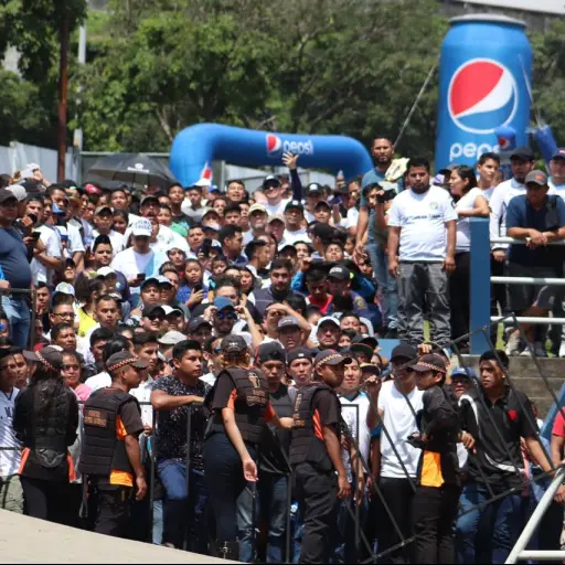 Afición-Cremas-clásico-308 ,