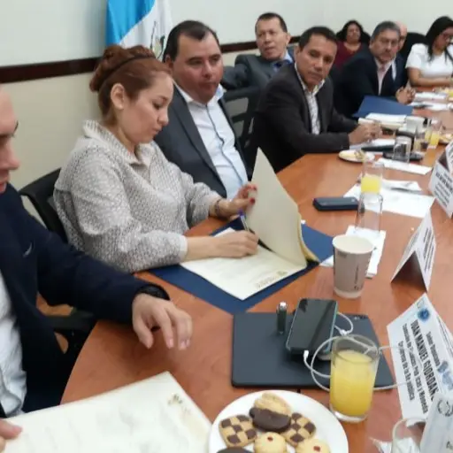 comision presupuesto ,