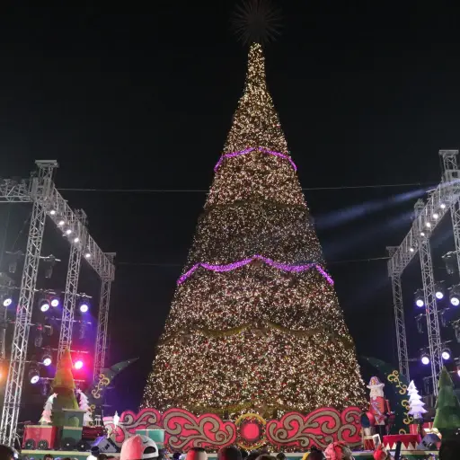 Inauguran el Festival Arbol Gallo 2019 ,