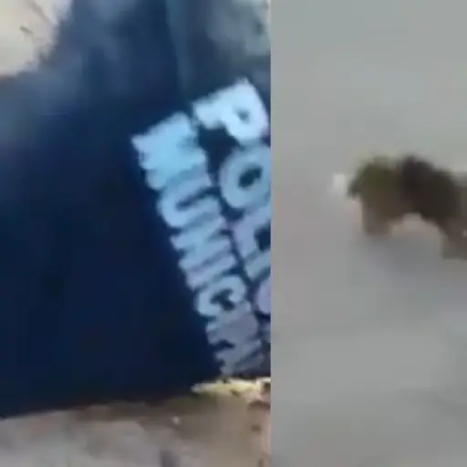 policia-perrito-051119 ,