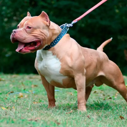 En una semana se reportaron tres casos de menores agredidos, uno de ellos falleció.