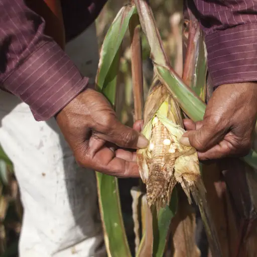 15073520991_24b4d3bcac_o ,