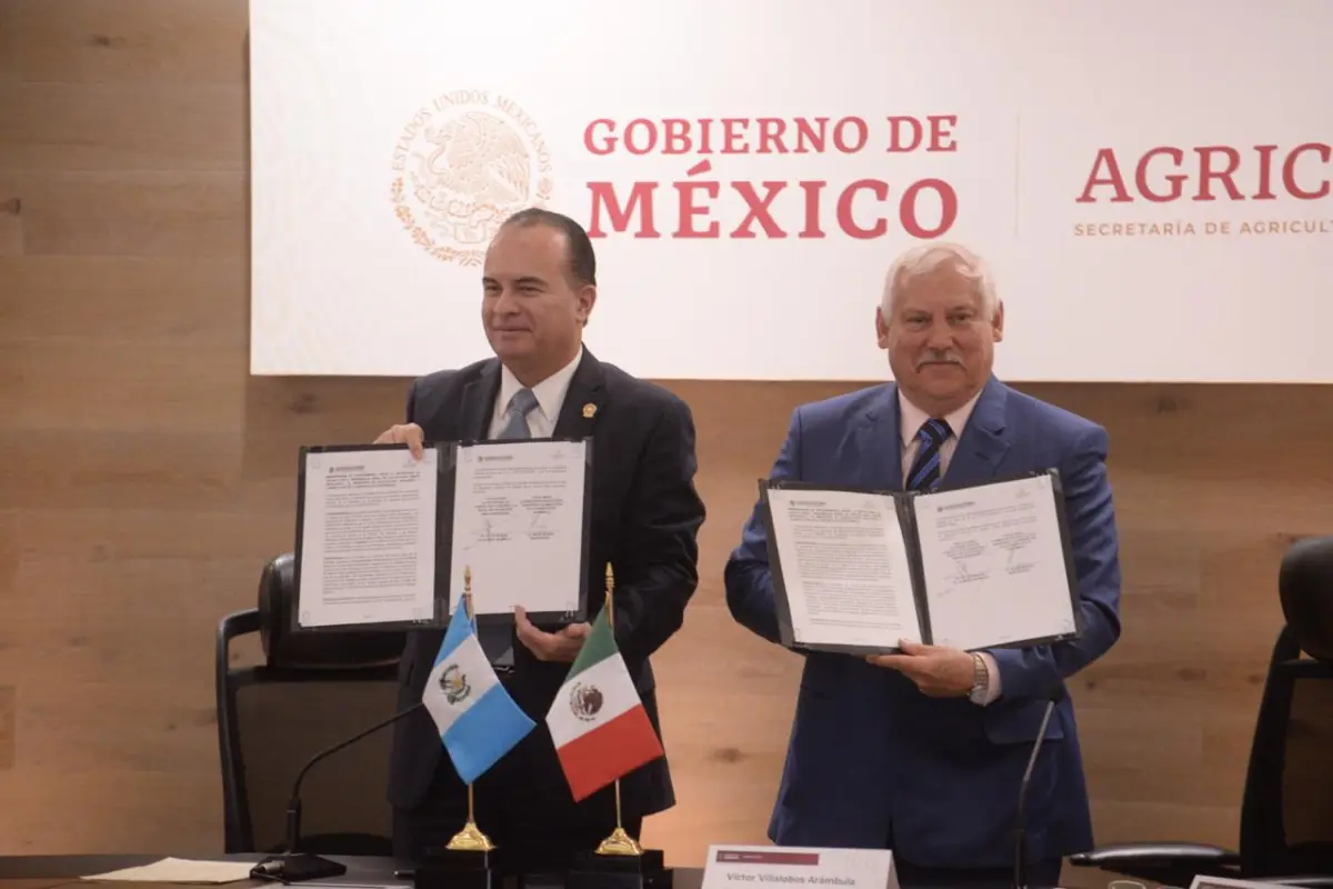 apertura comercial para el ganado bovino entre Guatemala México Emisoras Unidas Guatemala, 