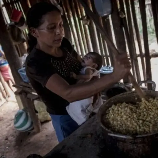 PDH señala indiferencia de autoridades por recorte presupuestario para combate a la desnutrición crónica ,
