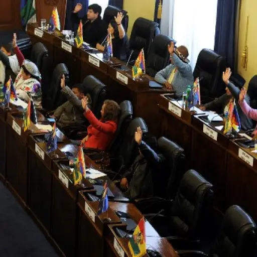 Bolivia avanza a nuevas elecciones sin Morales en medio de severa crisis. Foto: AFP