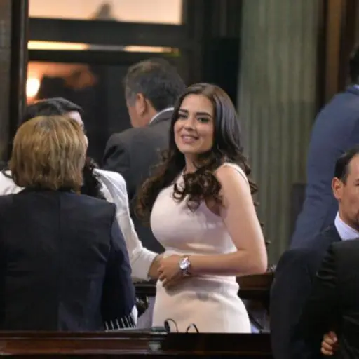 Diputada Patricia Sandoval.