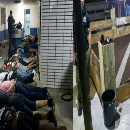 Policía brasileña desmantela sangrienta pelea internacional de pitbulls