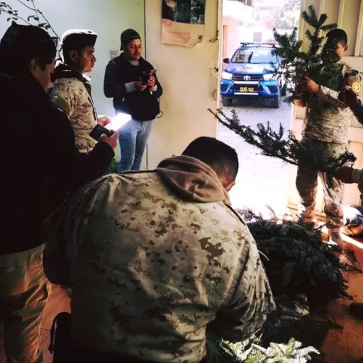 Incautan pinabete en Quetzaltenango