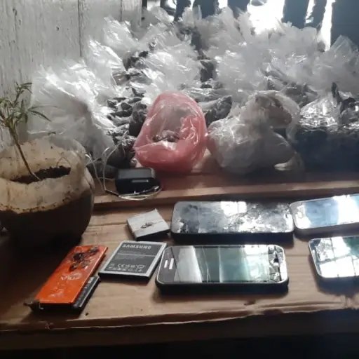 Ilicitos localizados en Cantel