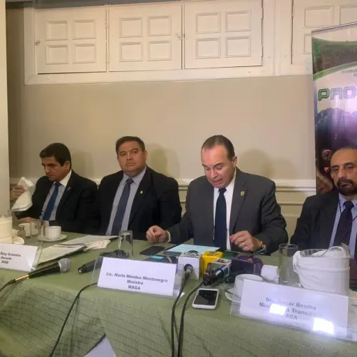 INAB ha recuperado al menos 736 mil hectáreas de bosque en cuatro años