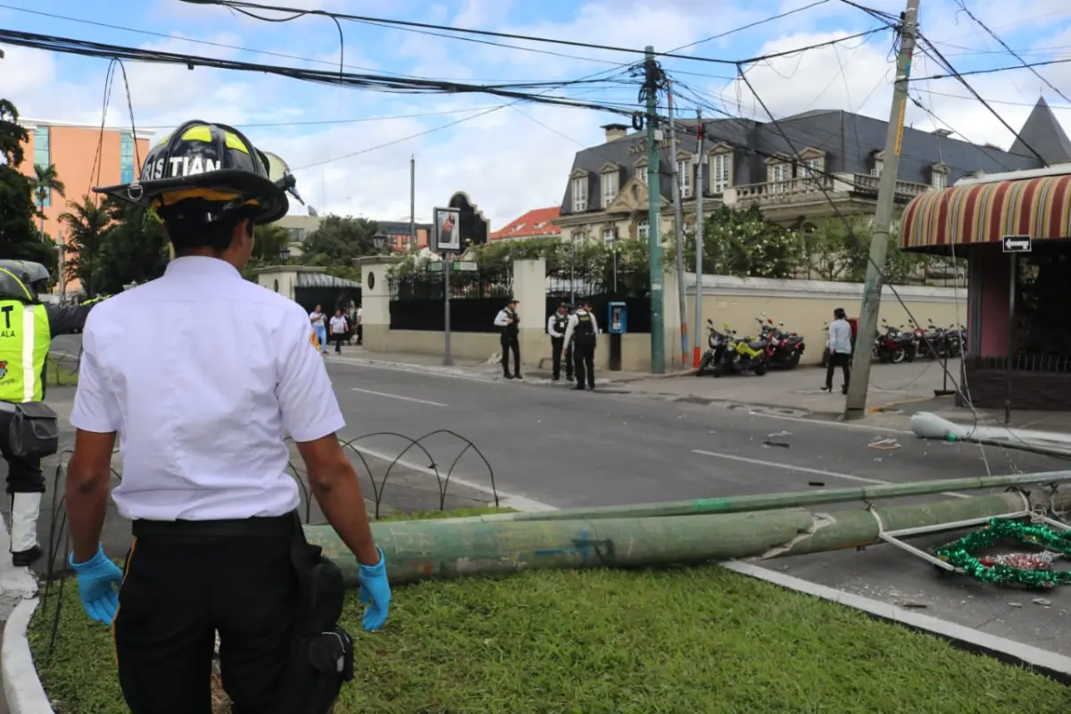 Árbol cae e interrumpe el paso en un carril de la Avenida Reforma, 