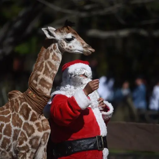Foto: Edwin Bercián. 