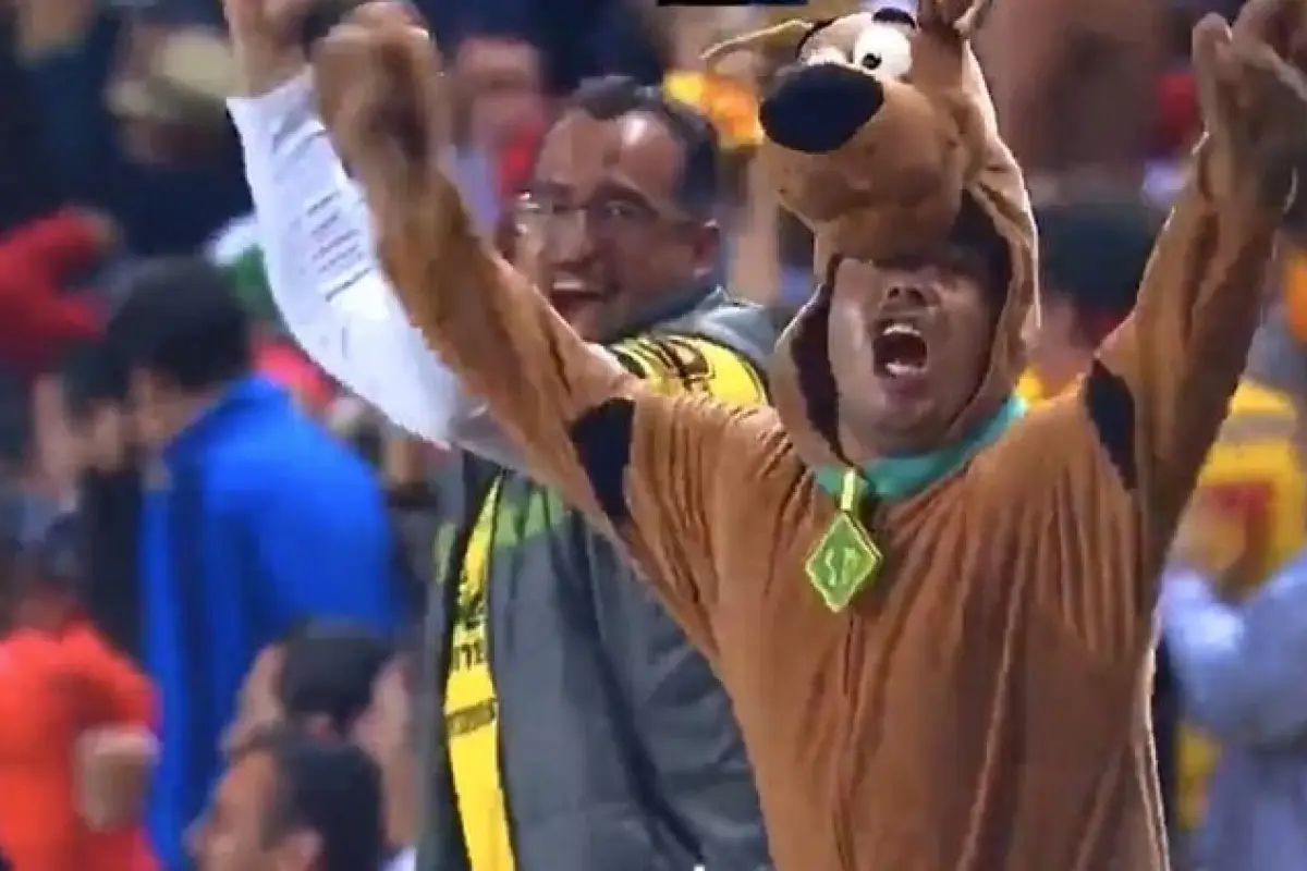 Scooby Doo disfraz aicionado, 