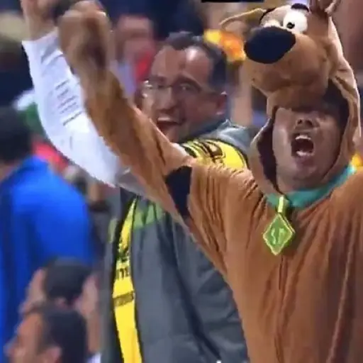 Scooby Doo disfraz aicionado ,