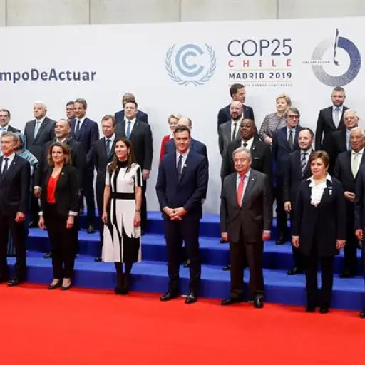 cop25 ,