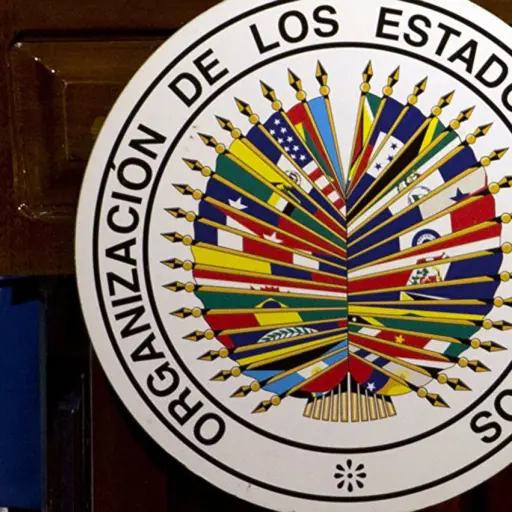Gobierno venezolano rechaza a la OEA como observador en elecciones de 2020 ,