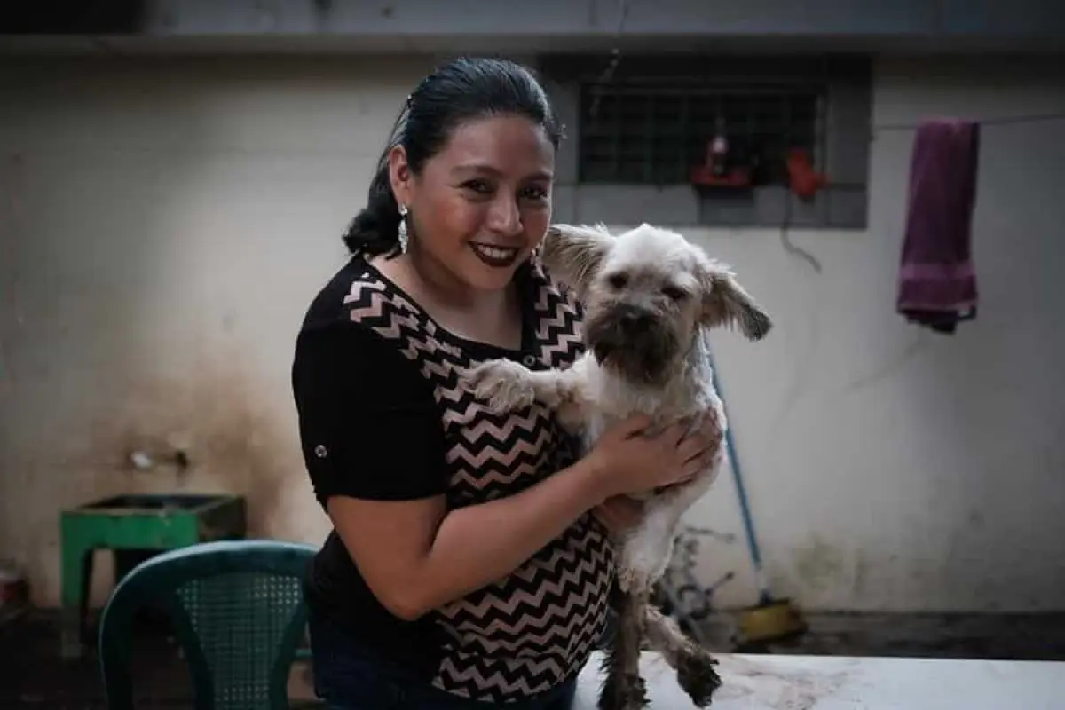 mascotas abandonadas banqueta navidad 7, 