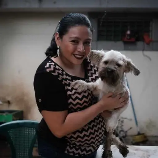 mascotas abandonadas banqueta navidad 7 ,