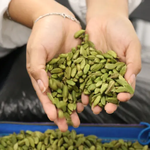 Estos son los productos guatemaltecos que mas fueron exportados ,