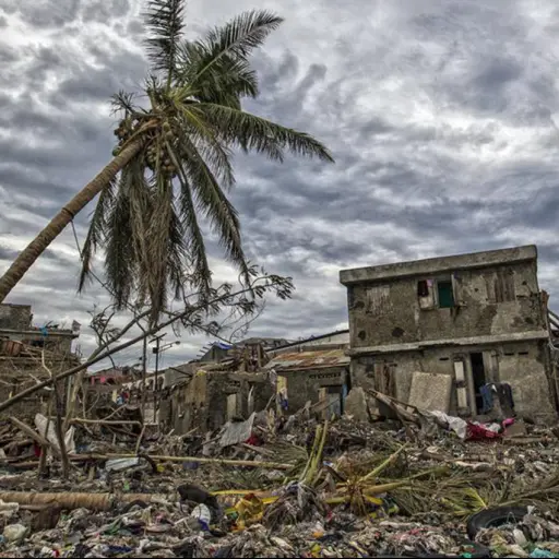 Las catástrofes que impactaron al mundo en 2019 