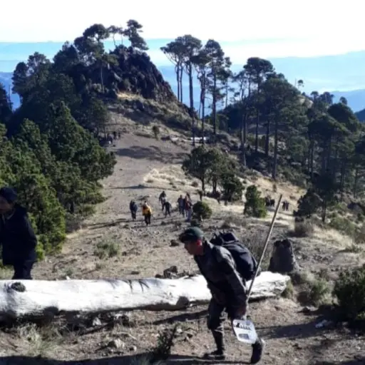 Personal del Ejército se incorpora a estas tareas. Foto: Conred.