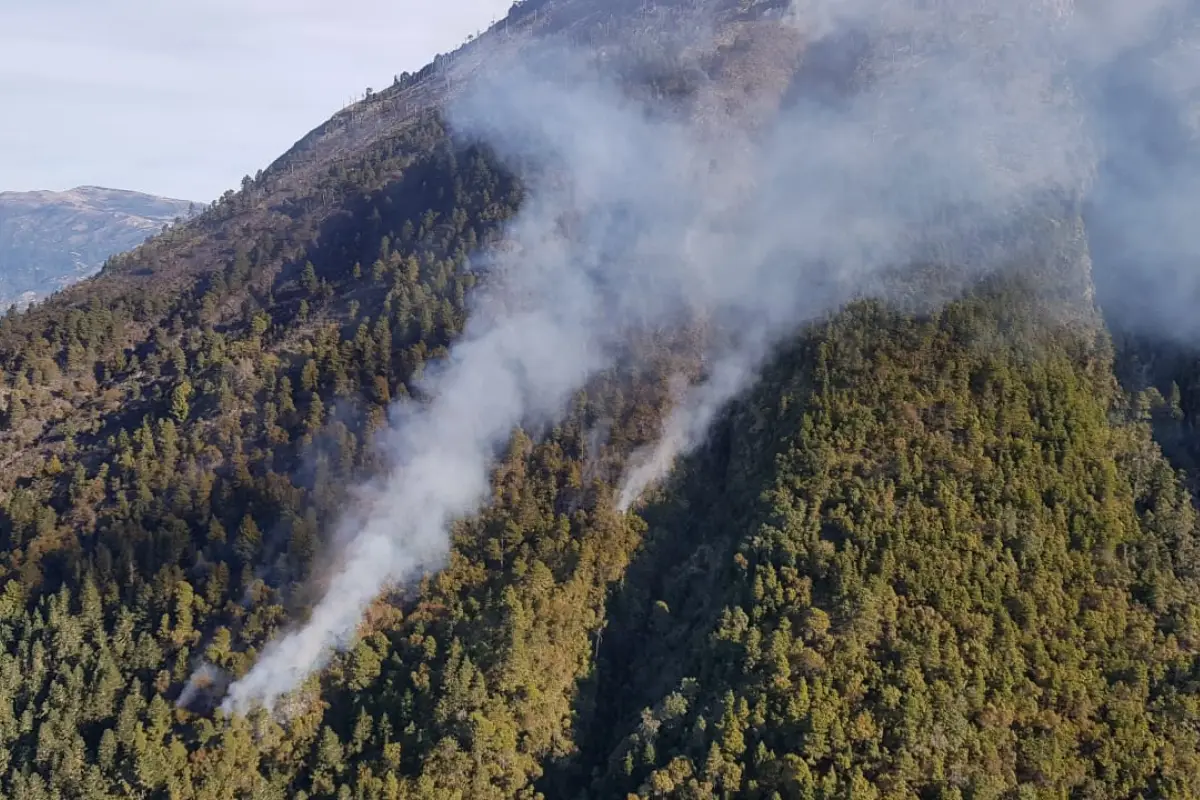 Autoridades llevaron a cabo un sobrevuelo. 