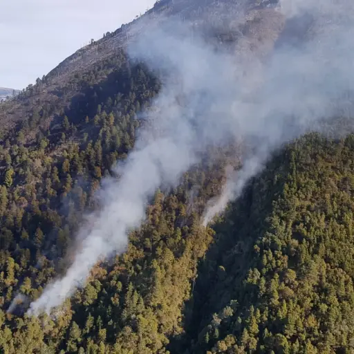 Autoridades llevaron a cabo un sobrevuelo. 