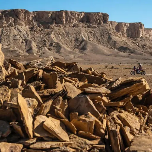 Rally-Dakar-2020-Etapa-Nueve-5 ,