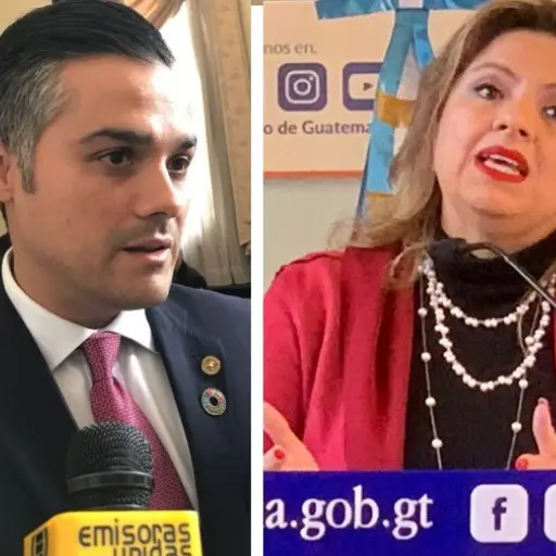 Canciller dice que Hernández Azmitia irá a la OEA por conocer de la "familia y la vida" ,