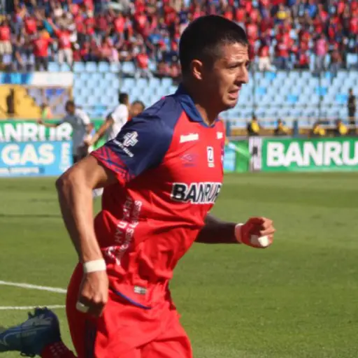 Gambetita Diaz Clasico 311 ,