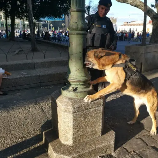 Django se jubila y deja el mayor registro de incautaciones de droga y dinero ,